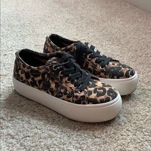 Steve Madden leopard platform sneakers!!!